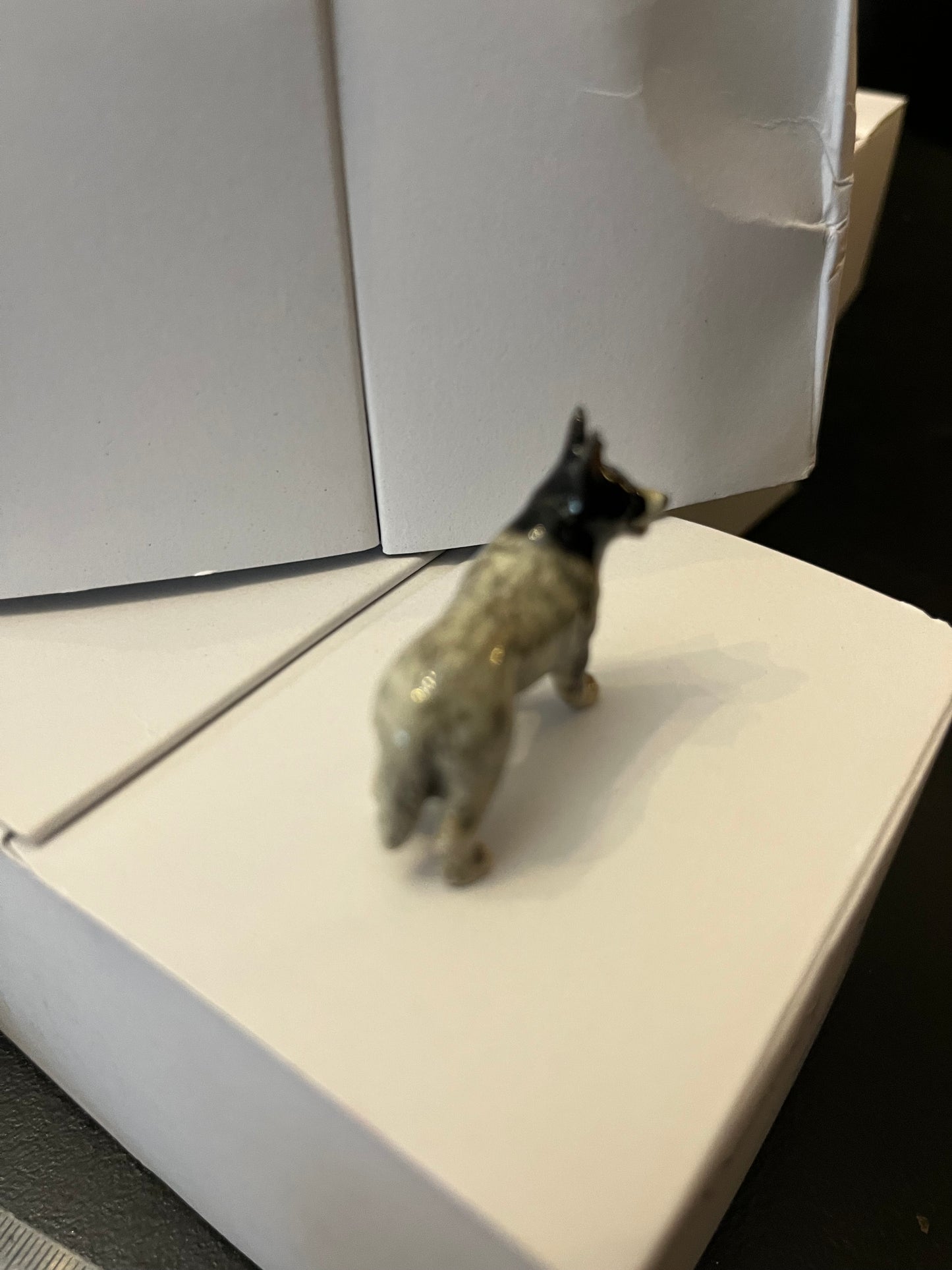 Miniature Porcelain Boarder Collie Dog Mini
