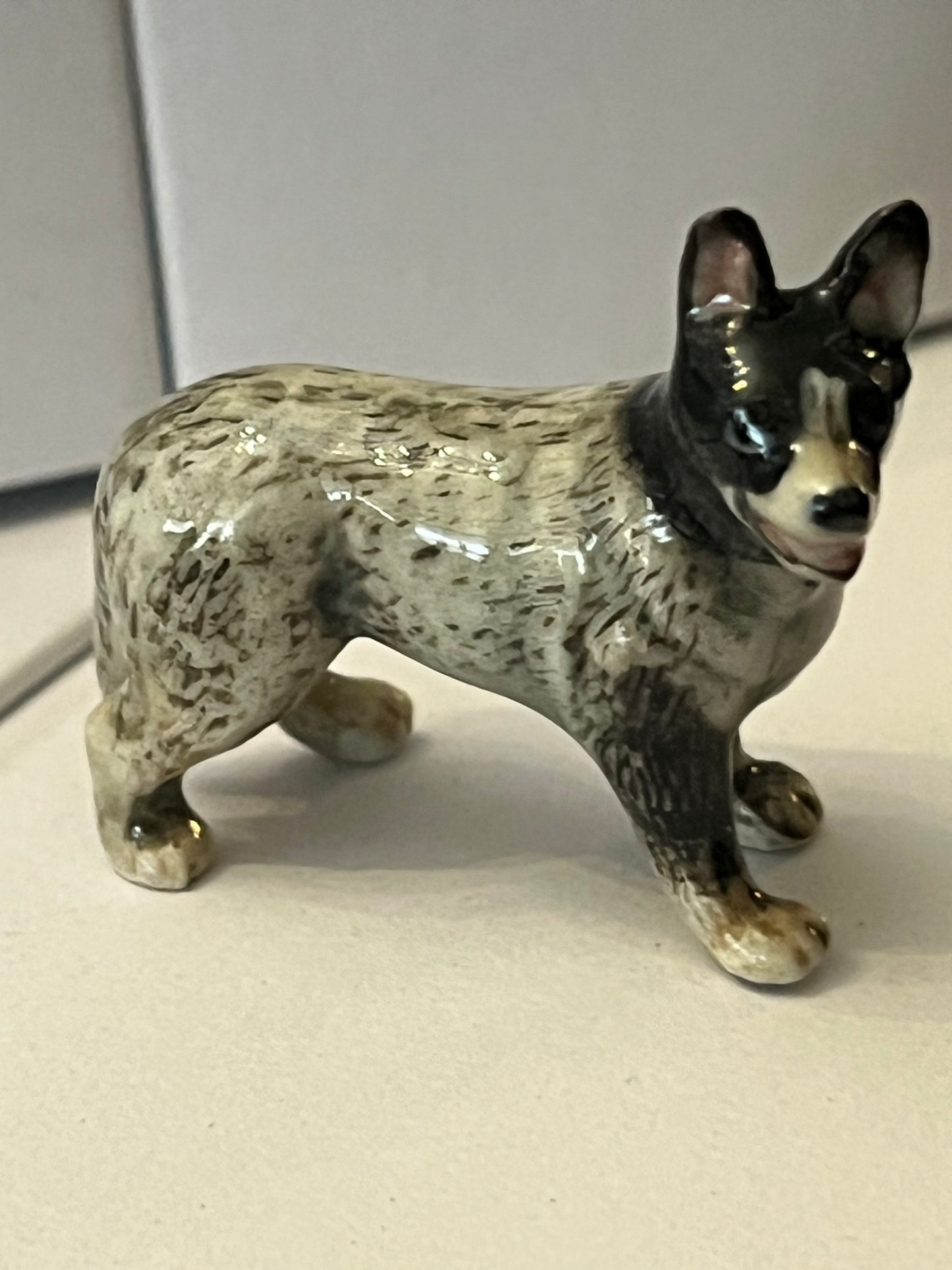 Miniature Porcelain Boarder Collie Dog Mini