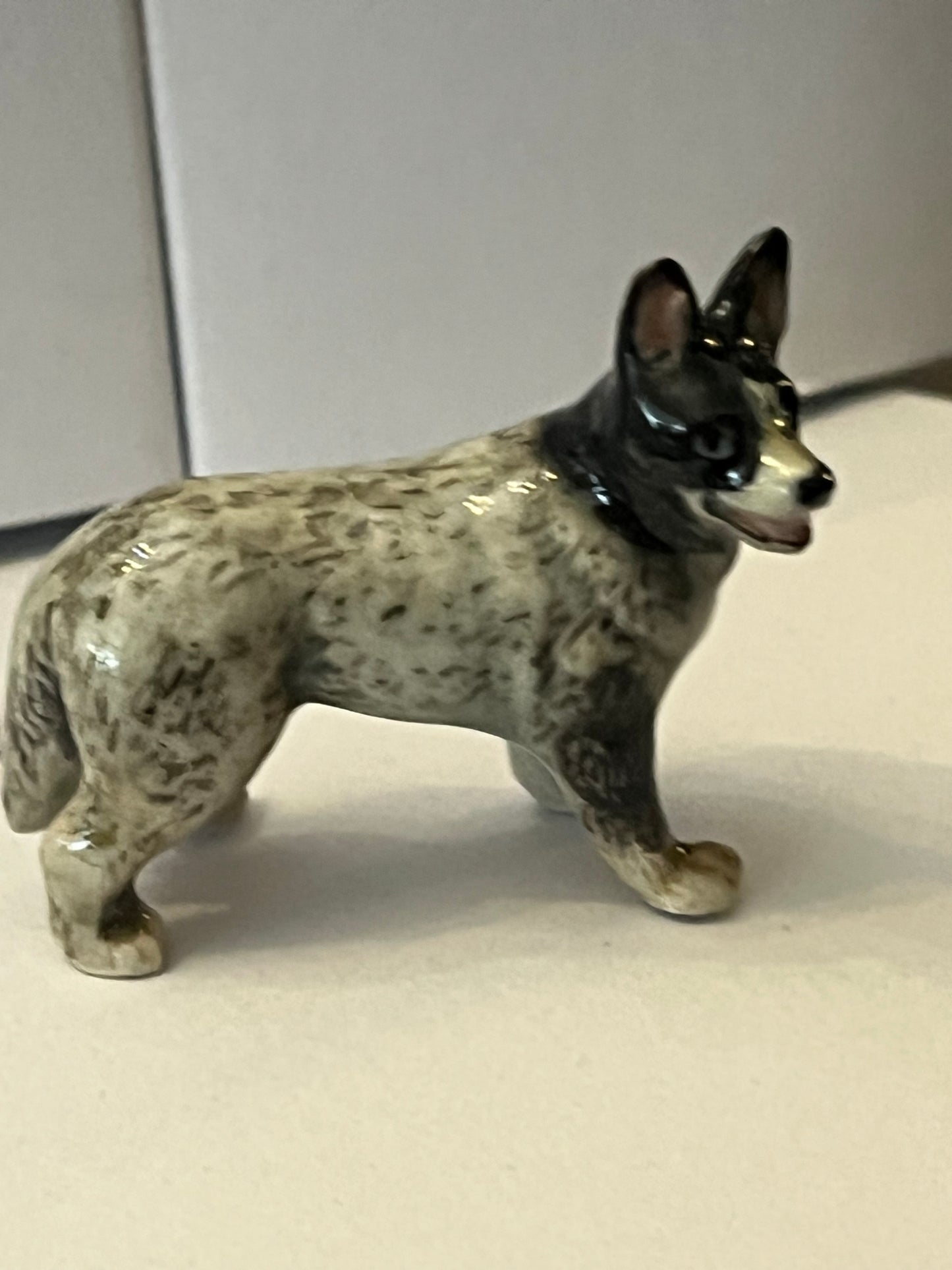 Miniature Porcelain Boarder Collie Dog Mini