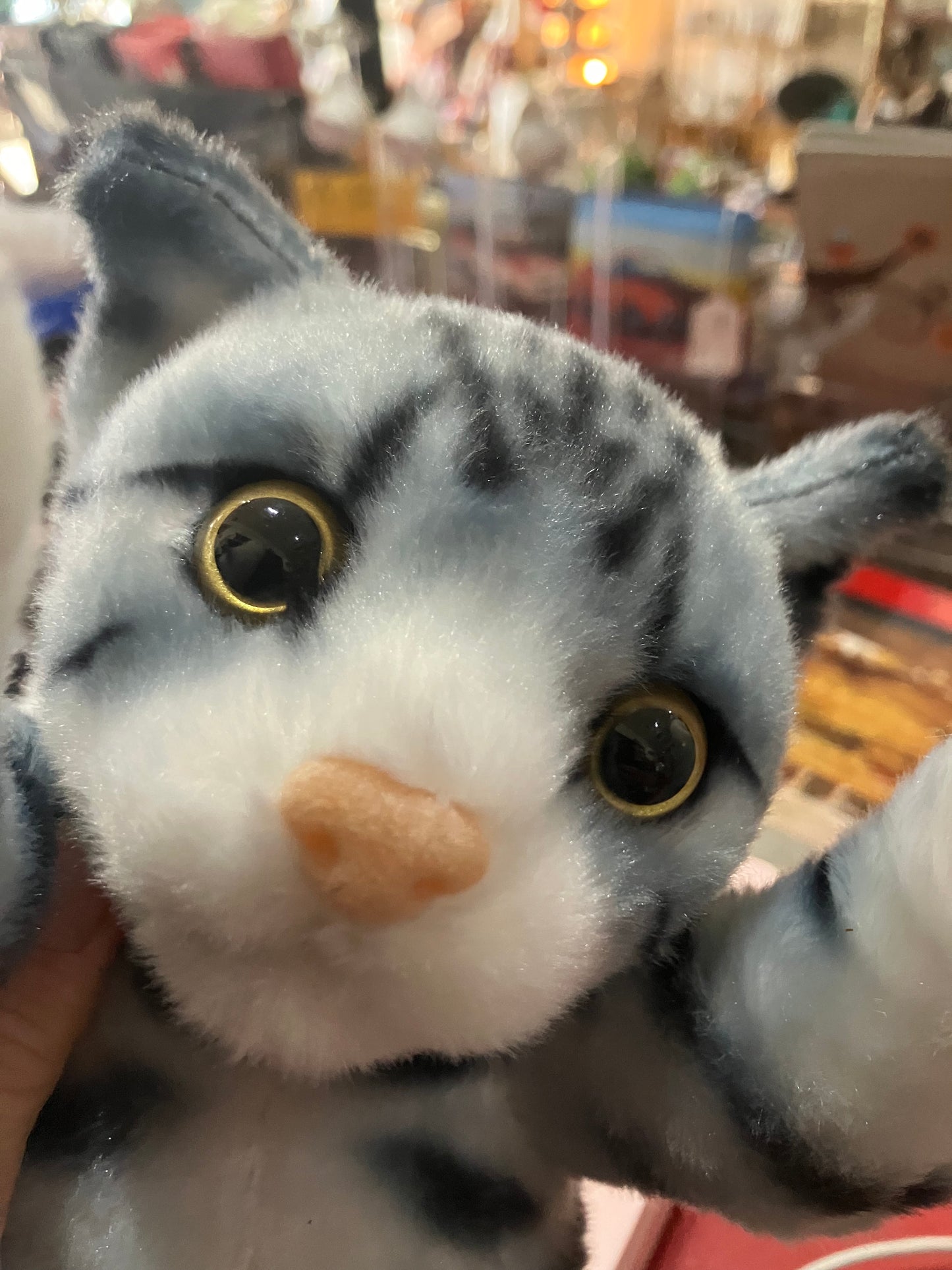 Crazy Cat Standing Plushie American Silver Shorthair