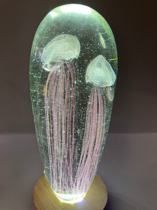 Glass Paperweight Twin Pink Jelly Fish