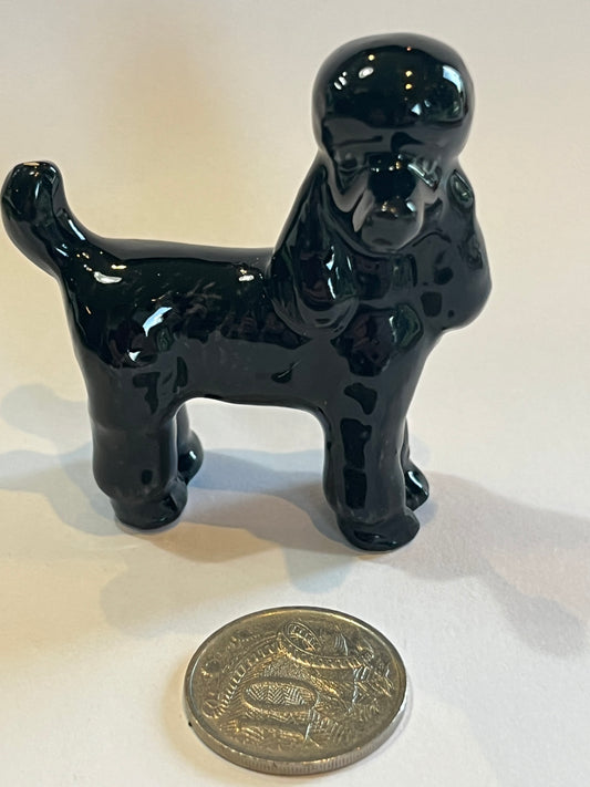 Miniature Porcelain Black Poodle Dog