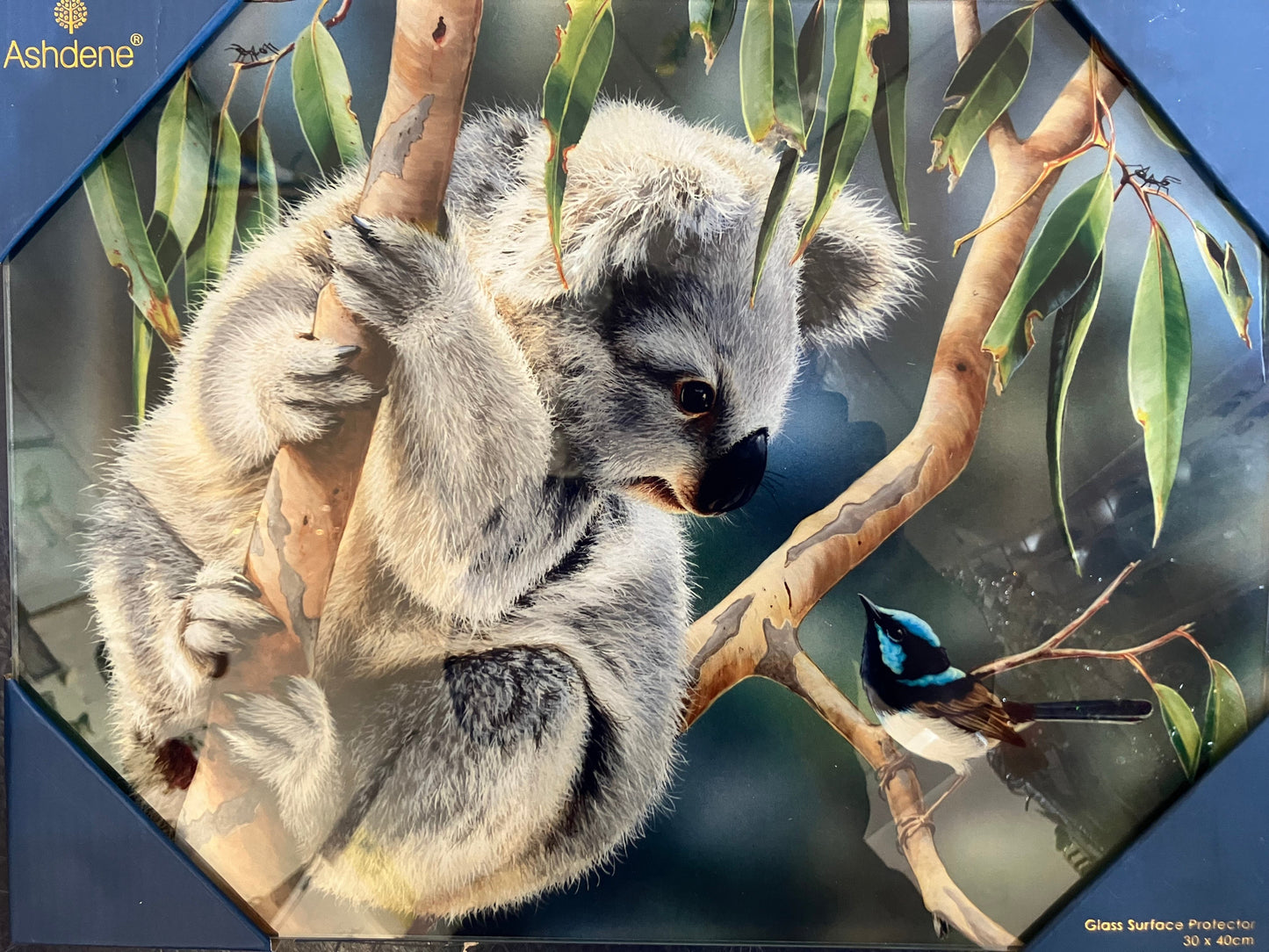 Ashdene Koala Glass Cutting Board Surface Protector