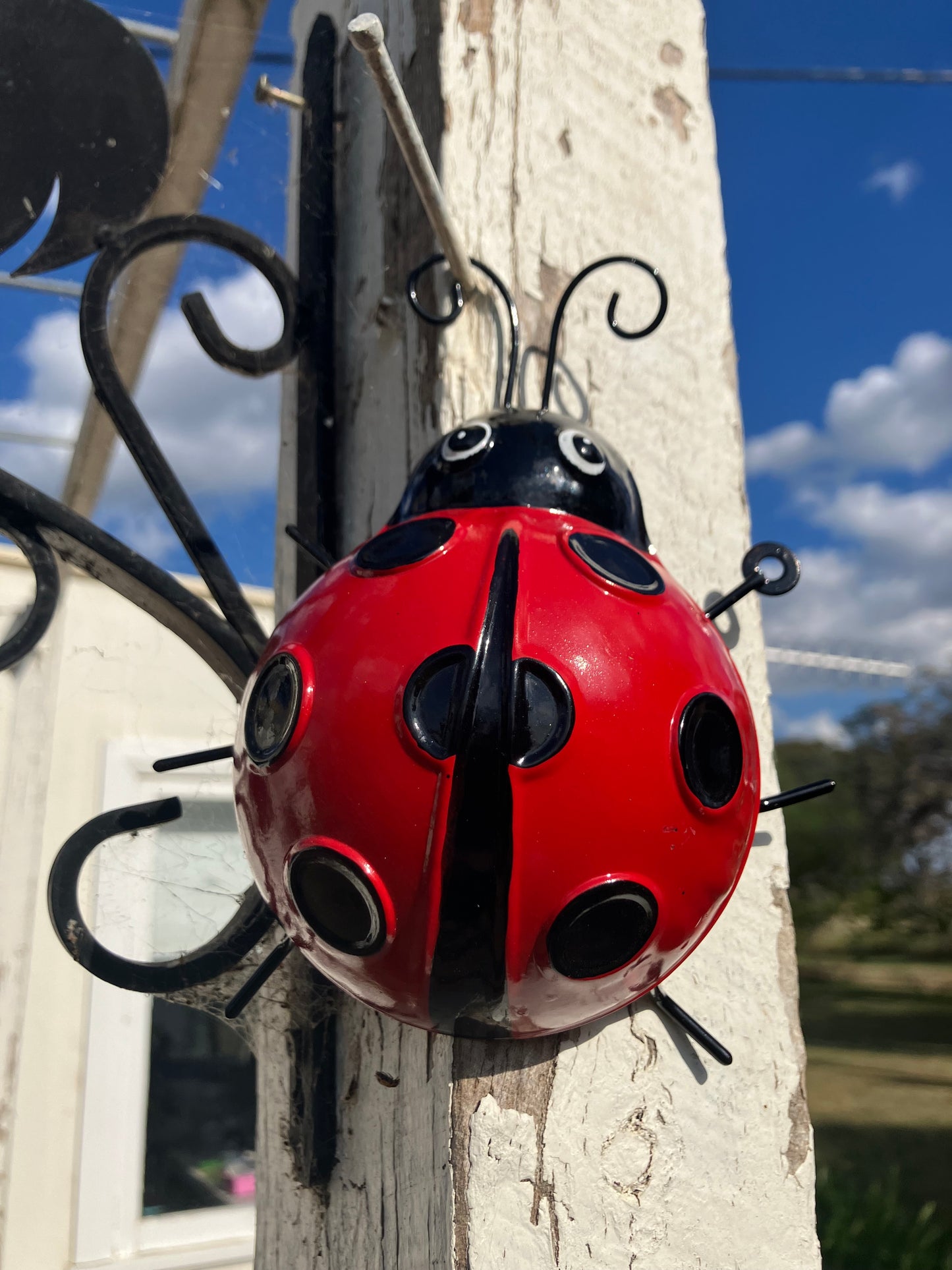 Red Metal Ladybettle Wall Art