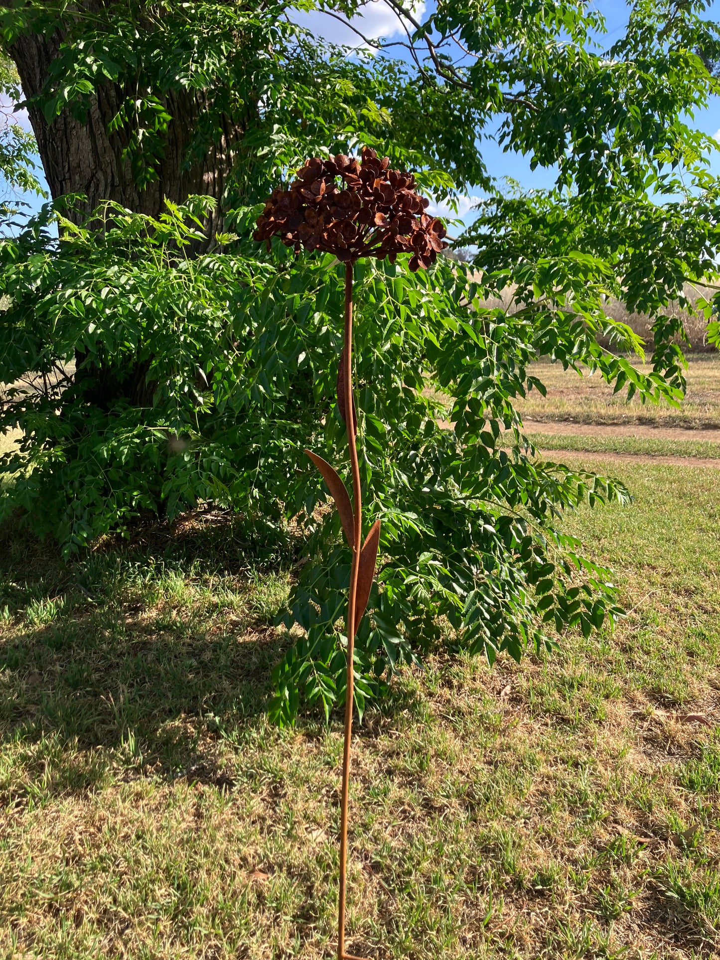 Rusty Garden Stake Hydrangea