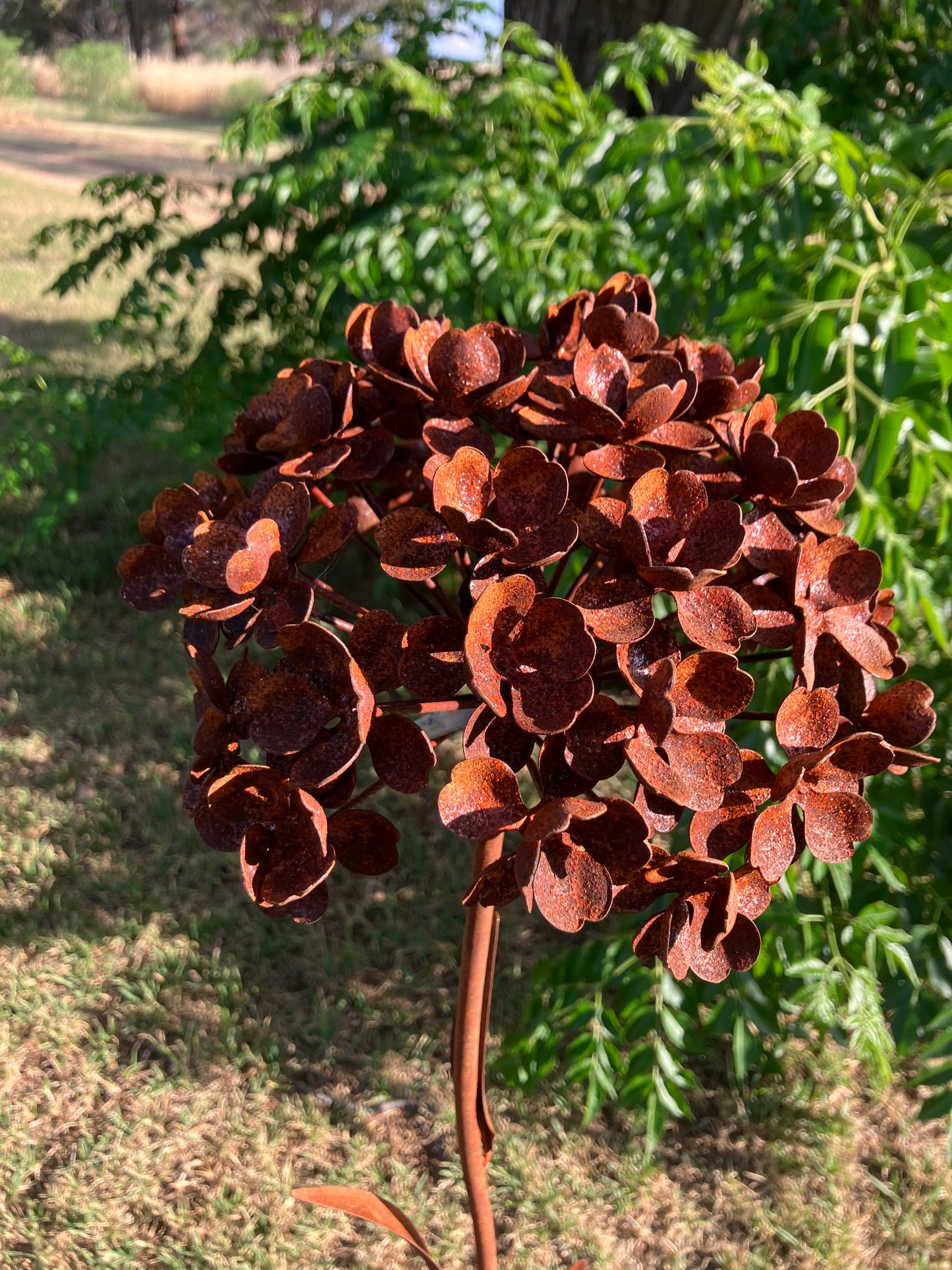 Rusty Garden Stake Hydrangea