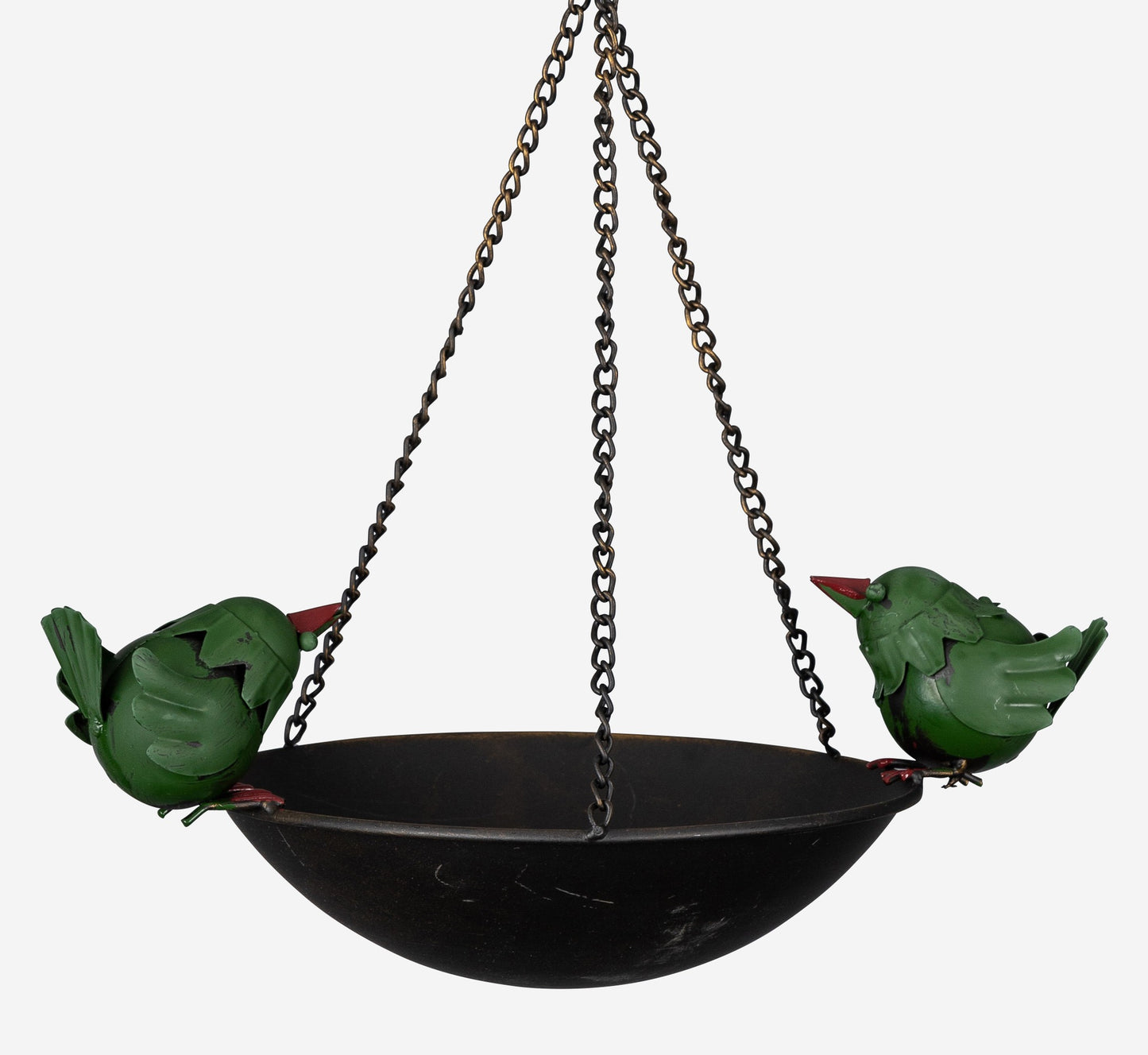 Two Charming Birds Perched on a  rim of a Bird Feeder
