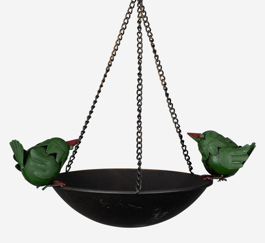 Two Charming Birds Perched on a  rim of a Bird Feeder
