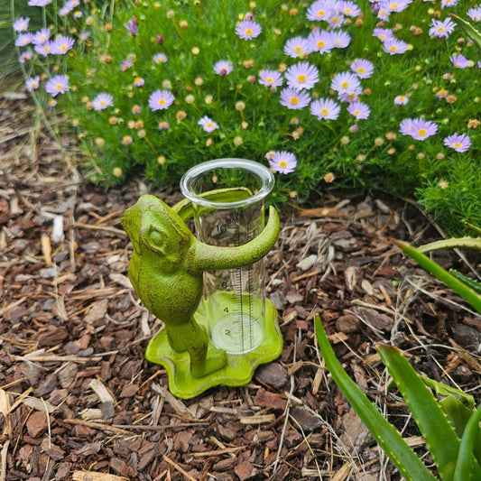 Cast Iron Frog Rain Gauge