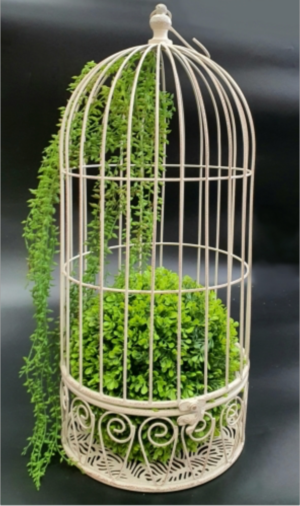 Hanging Bird Cages Set of 2