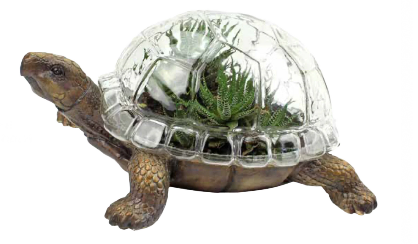 Turtle Terrarium with Glass Shell