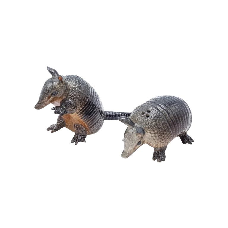 Armadillo Salt & Pepper Shakers