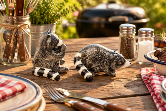 Raccoon Salt & Pepper Shakers