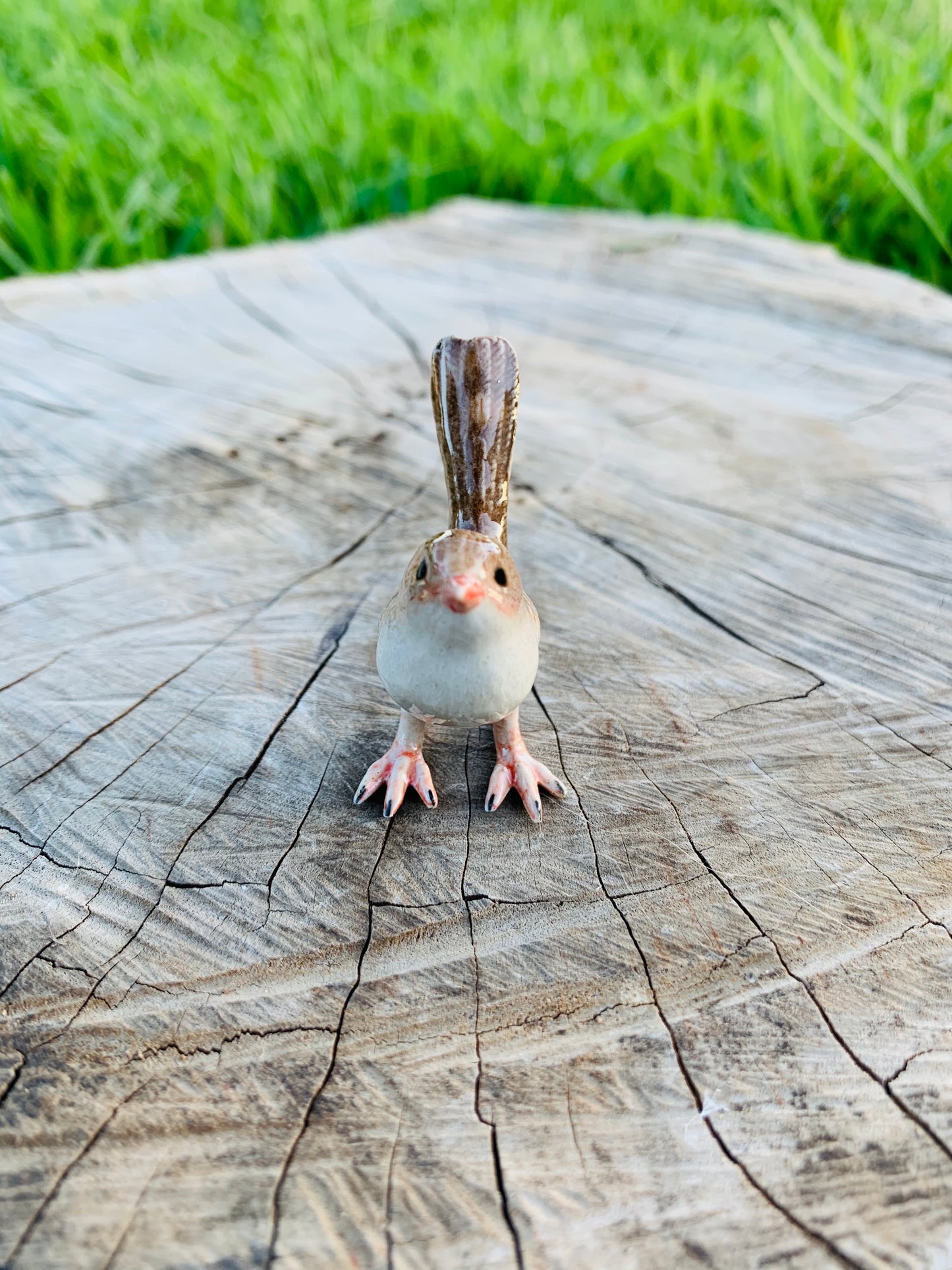 Miniature Porcelain Bird Figurines Superb Fairy Female Wren