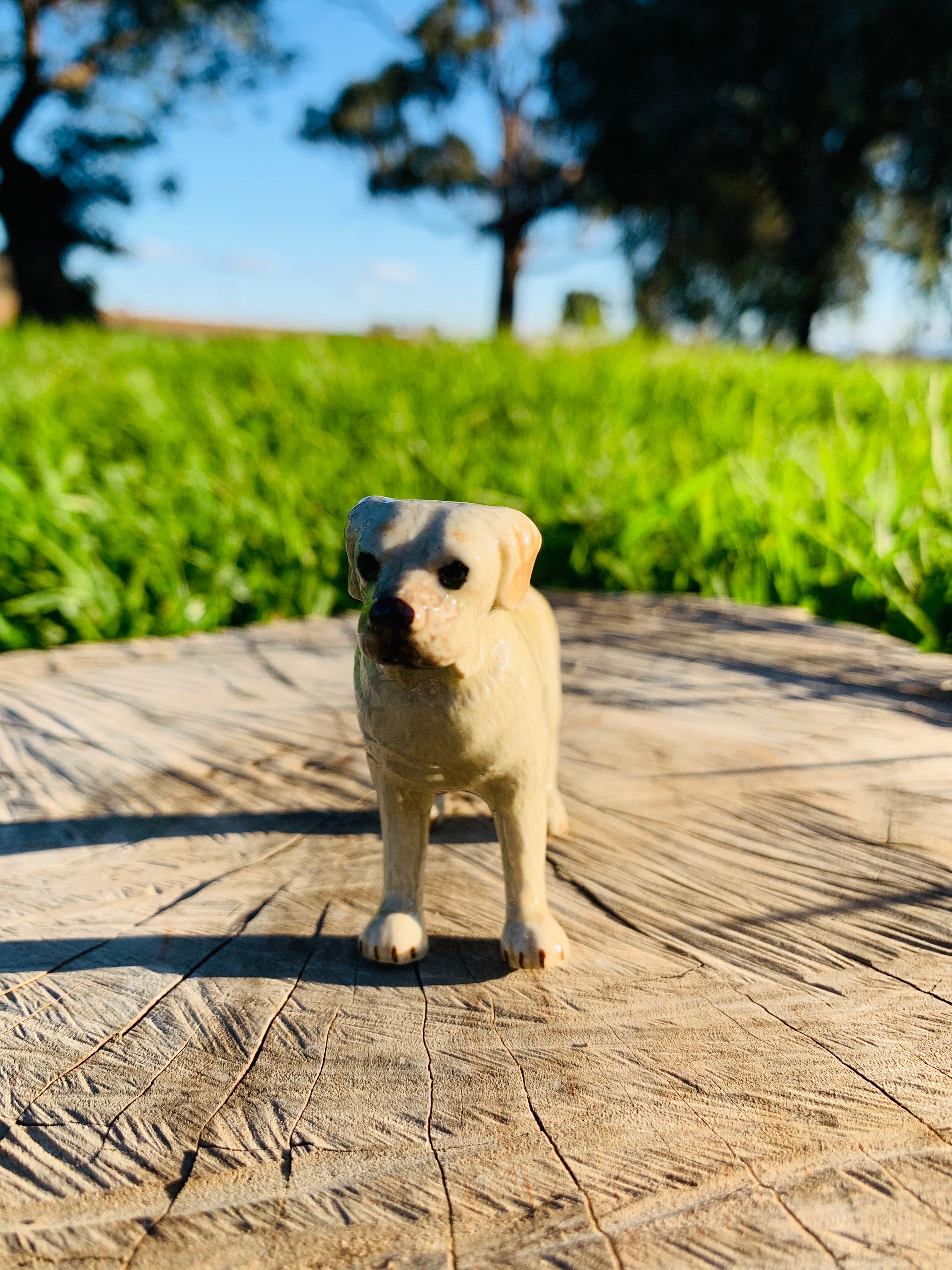 Miniature Porcelain Realistic Looking Collectible Hound Dog