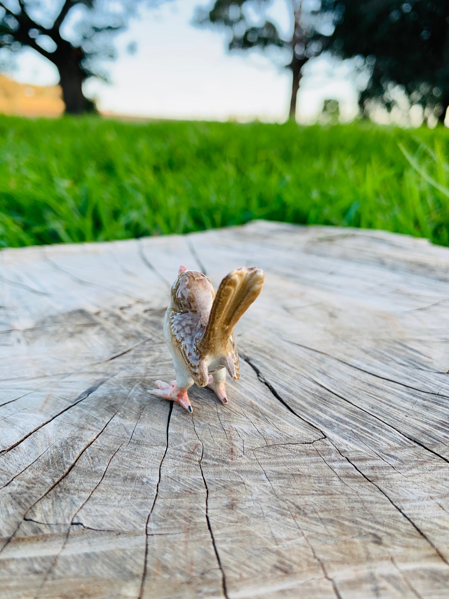 Miniature Porcelain Bird Figurines Superb Fairy Female Wren